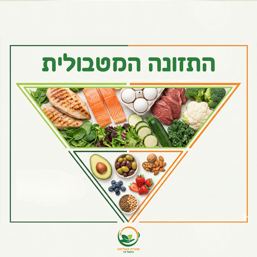 רעידת אדמה בעולם התזונה: פירמידת המזון התהפכה – למה לקח לממסד 50 שנה להודות בטעות?